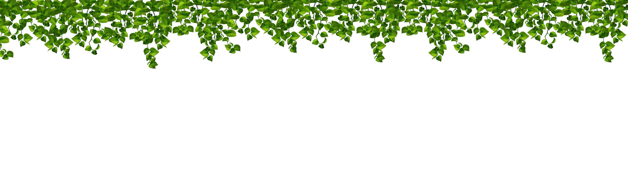plants